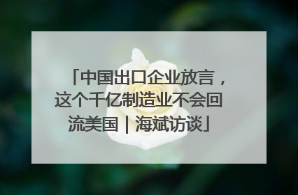 中国出口企业放言，这个千亿制造业不会回流美国｜海斌访谈
