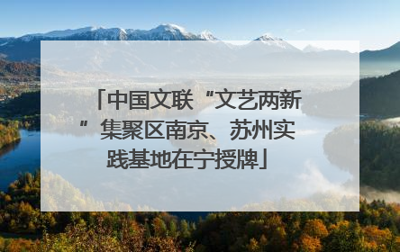 中国文联“文艺两新”集聚区南京、苏州实践基地在宁授牌