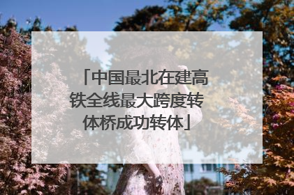 中国最北在建高铁全线最大跨度转体桥成功转体