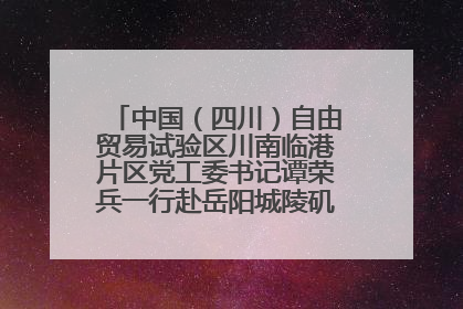 中国（四川）自由贸易试验区川南临港片区党工委书记谭荣兵一行赴岳阳城陵矶综保区考察