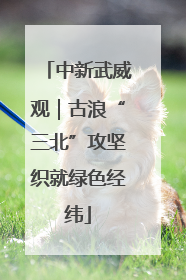 中新武威观｜古浪“三北”攻坚织就绿色经纬