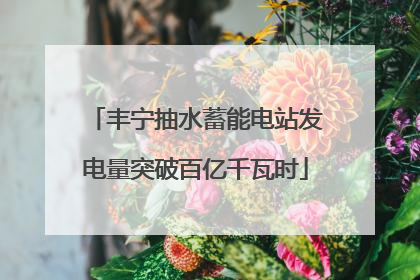 丰宁抽水蓄能电站发电量突破百亿千瓦时