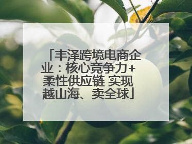 丰泽跨境电商企业：核心竞争力+柔性供应链 实现越山海、卖全球