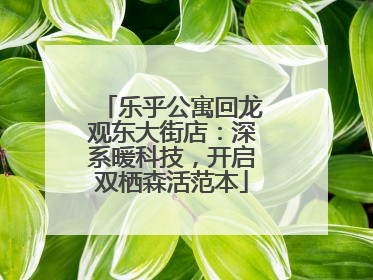 乐乎公寓回龙观东大街店：深系暖科技，开启双栖森活范本