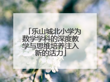 乐山城北小学为数学学科的深度教学与思维培养注入新的活力