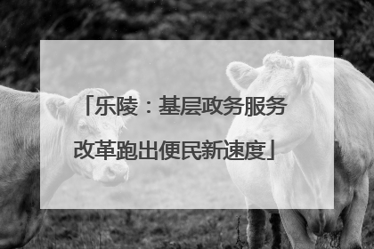 乐陵：基层政务服务改革跑出便民新速度