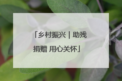 乡村振兴｜助残捐赠 用心关怀