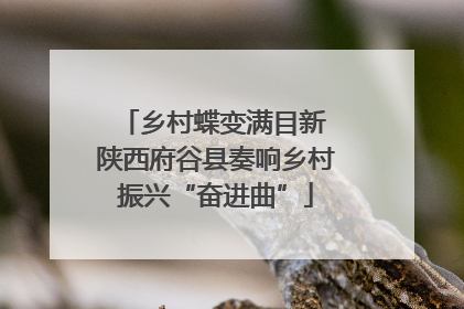 乡村蝶变满目新 陕西府谷县奏响乡村振兴“奋进曲”