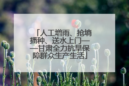 人工增雨、抢墒播种、送水上门——甘肃全力抗旱保障群众生产生活