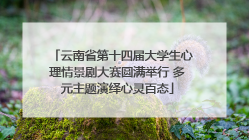 云南省第十四届大学生心理情景剧大赛圆满举行 多元主题演绎心灵百态