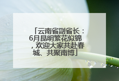云南省副省长：6月昆明繁花似锦，欢迎大家共赴春城、共聚南博