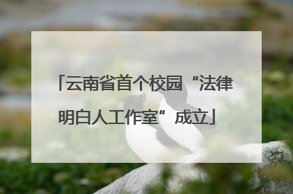 云南省首个校园“法律明白人工作室”成立
