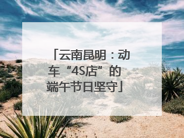 云南昆明：动车“4S店”的端午节日坚守