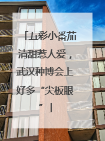 五彩小番茄清甜惹人爱，武汉种博会上好多“尖板眼”