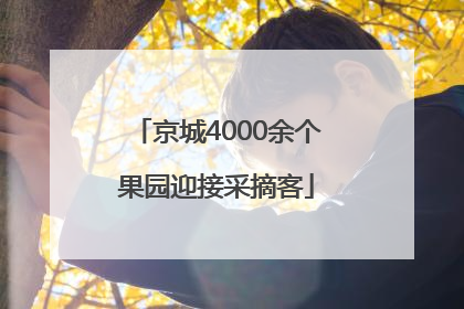 京城4000余个果园迎接采摘客