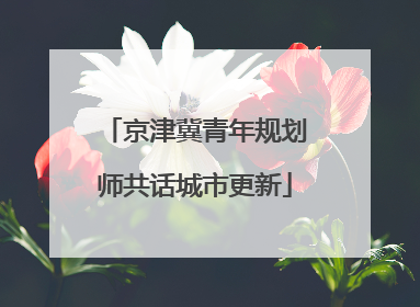 京津冀青年规划师共话城市更新