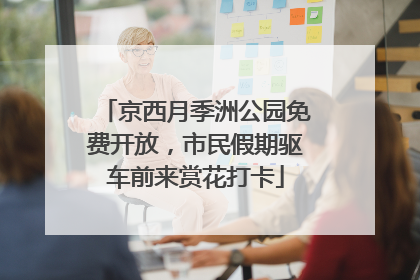 京西月季洲公园免费开放，市民假期驱车前来赏花打卡