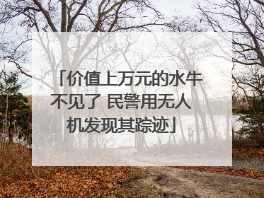 价值上万元的水牛不见了 民警用无人机发现其踪迹