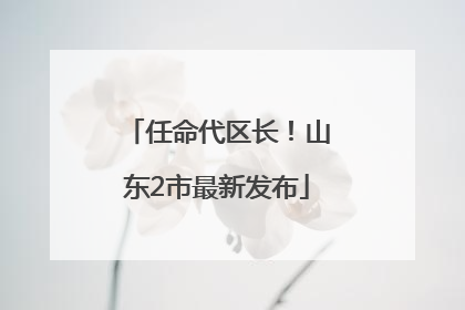 任命代区长！山东2市最新发布