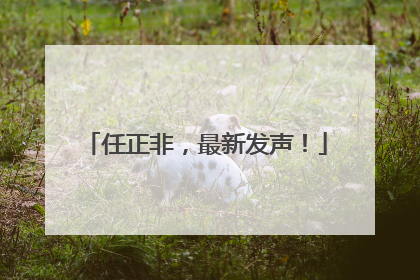 任正非，最新发声！