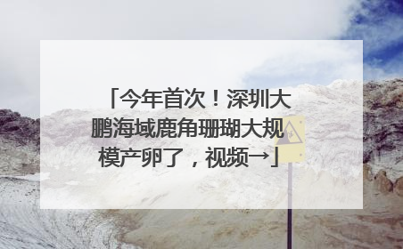 今年首次！深圳大鹏海域鹿角珊瑚大规模产卵了，视频→