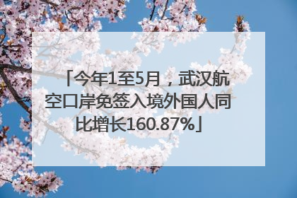 今年1至5月，武汉航空口岸免签入境外国人同比增长160.87%