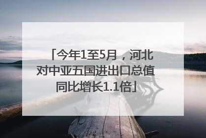 今年1至5月，河北对中亚五国进出口总值同比增长1.1倍