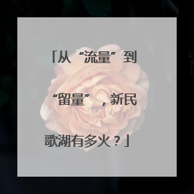 从“流量”到“留量”，新民歌湖有多火？
