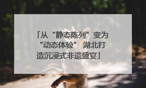 从“静态陈列”变为“动态体验” 湖北打造沉浸式非遗盛宴