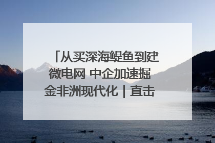 从买深海鳀鱼到建微电网 中企加速掘金非洲现代化｜直击中非经贸博览会