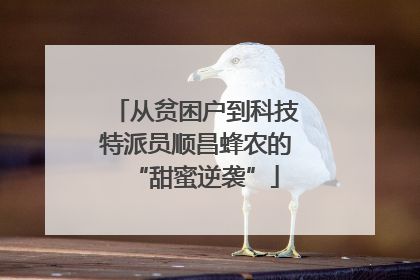 从贫困户到科技特派员顺昌蜂农的“甜蜜逆袭”
