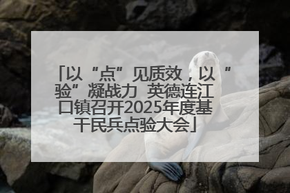 以“点”见质效，以“验”凝战力  英德连江口镇召开2025年度基干民兵点验大会