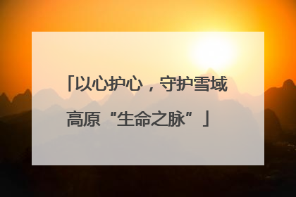 以心护心，守护雪域高原“生命之脉”