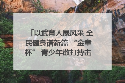 以武育人展风采 全民健身谱新篇 “金童杯” 青少年散打搏击邀请赛圆满落幕