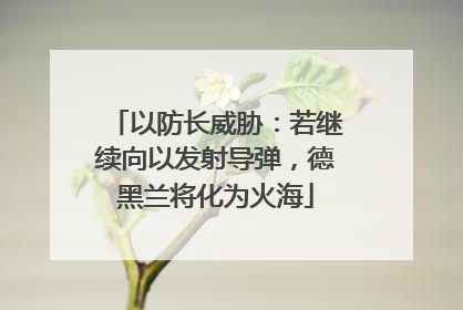 以防长威胁：若继续向以发射导弹，德黑兰将化为火海