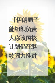 伊朗原子能组织负责人称该国核计划仍在继续强力推进