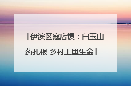 伊滨区寇店镇：白玉山药扎根 乡村土里生金