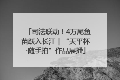 司法联动！4万尾鱼苗跃入长江｜“天平杯·随手拍”作品展播