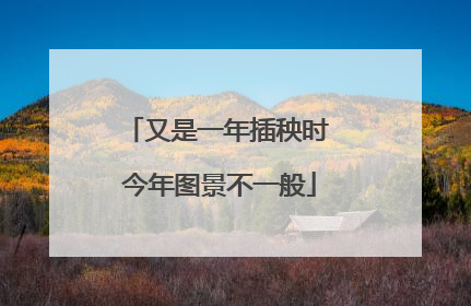 又是一年插秧时 今年图景不一般