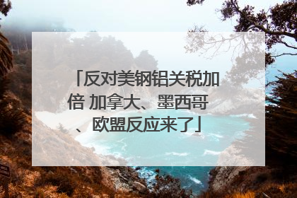 反对美钢铝关税加倍 加拿大、墨西哥、欧盟反应来了
