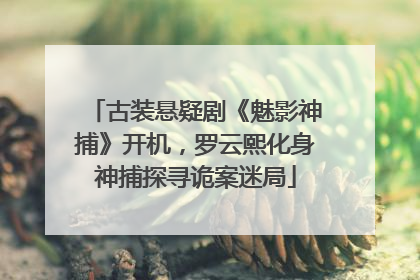 古装悬疑剧《魅影神捕》开机，罗云熙化身神捕探寻诡案迷局