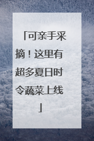 可亲手采摘！这里有超多夏日时令蔬菜上线