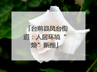 台前县凤台街道：人居环境“焕”新颜
