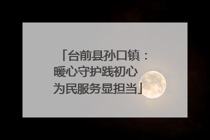 台前县孙口镇：暖心守护践初心 为民服务显担当