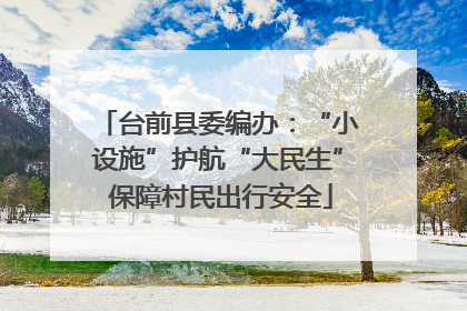 台前县委编办：“小设施”护航“大民生” 保障村民出行安全