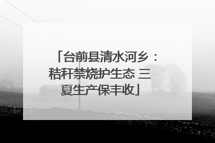 台前县清水河乡：秸秆禁烧护生态 三夏生产保丰收