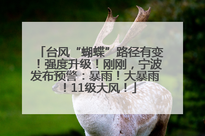 台风“蝴蝶”路径有变！强度升级！刚刚，宁波发布预警：暴雨！大暴雨！11级大风！