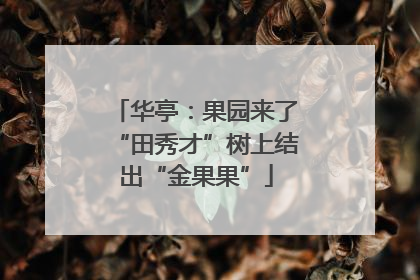 华亭：果园来了“田秀才”树上结出“金果果”