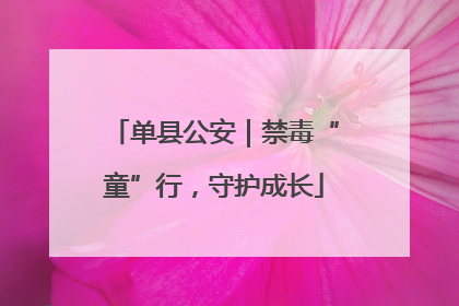 单县公安｜禁毒“童”行，守护成长