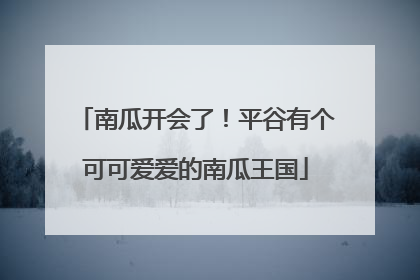 南瓜开会了！平谷有个可可爱爱的南瓜王国